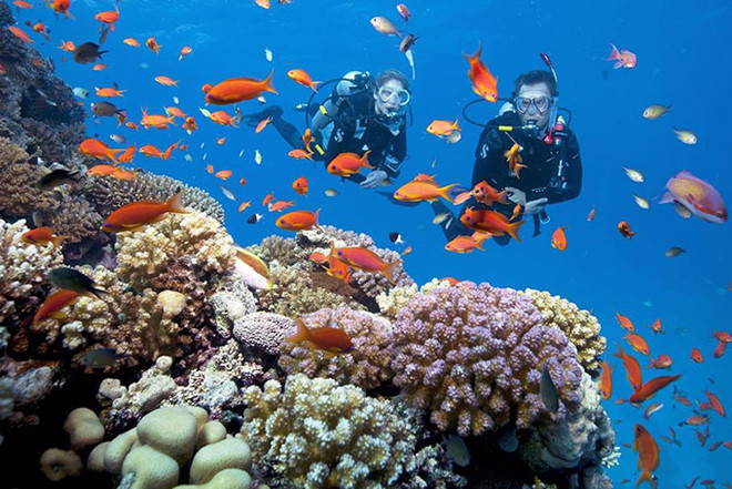 Генеральный план восстановления залива Нячанг ảnh 2