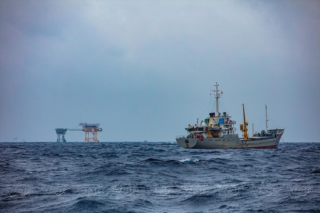 Платформа DK1 твердо стоит на волновом фронте ảnh 1