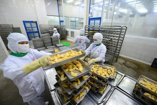 Экспорт морепродуктов в конце года вновь оживился ảnh 2 Экспорт морепродуктов в конце года вновь оживился ảnh 2