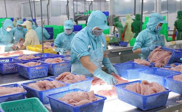 Экспорт морепродуктов в конце года вновь оживился ảnh 1 Экспорт морепродуктов в конце года вновь оживился ảnh 1