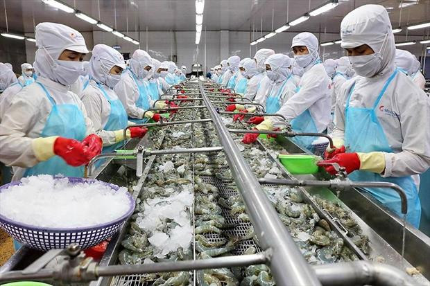Снижение целевых показателей экспорта основных видов продукции лесного и рыбного хозяйства ảnh 1 Снижение целевых показателей экспорта основных видов продукции лесного и рыбного хозяйства ảnh 1