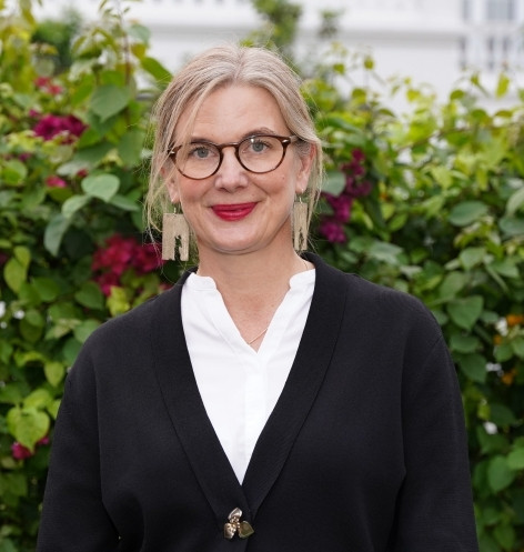 Вьетнам - Швеция: сотрудничество в области возобновляемых источников энергии ảnh 1