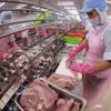 Переработка экспортной продукции из филе пангасиуса на заводе Акционерной компании Го Данг Тьензянг (бывшая провинция Тьензянг). Фото: ВИА.