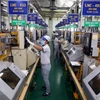 Японское предприятие инвестирует в производство в экспортно-промышленной зоне Тан Тхуан, Хошимин. Архивное фото: ВИА.