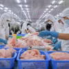 Переработка экспортной продукции из рыбы пангасиус на предприятии Caseamex, расположенном в промышленной зоне Ча Нок (Кантхо). Фото: ВИА.
