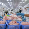 Переработка экспортной продукции из рыбы пангасиус на предприятии Caseamex, расположенном в промышленной зоне Ча Нок (Кантхо). Фото: ВИА.
