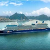 Круизный лайнер Celebrity Solstice.(Фото: sggp.org.vn)