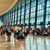 Международный аэропорт Таншоннят может принять более 1 000 рейсов в самые пиковые дни Тэта Бинь Нго 2026. (Фото: TIA)