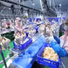 Современная линия убоя птицы на заводе компании Green Chicken Co., Ltd. (Фото: ВИА)