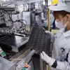 Производство печатных плат для электронных устройств на заводе компании Mektec Manufacturing Vietnam Co., Ltd. (100 % японский капитал), расположенном в промышленном парке Тханглонг II, квартал Михао, провинция Хынгйен. Фото: ВИА