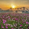 Красота моста Лонгбьен — культурный и исторический символ Ханоя. (Фото: ВИА)