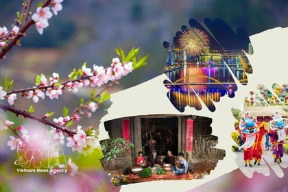 Жители всех регионов страны и вьетнамцы, проживающие за рубежом, радостно встречают весну года Лошади 2026 года