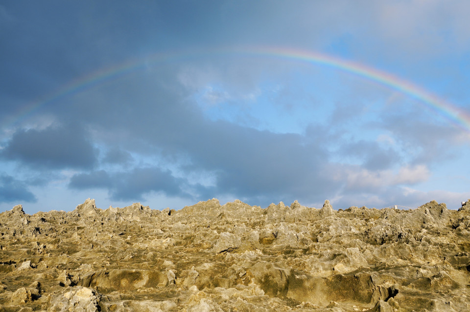 Слои древних окаменевших кораллов создают фантастический пейзаж пещеры Рай (Фото: ВИА)