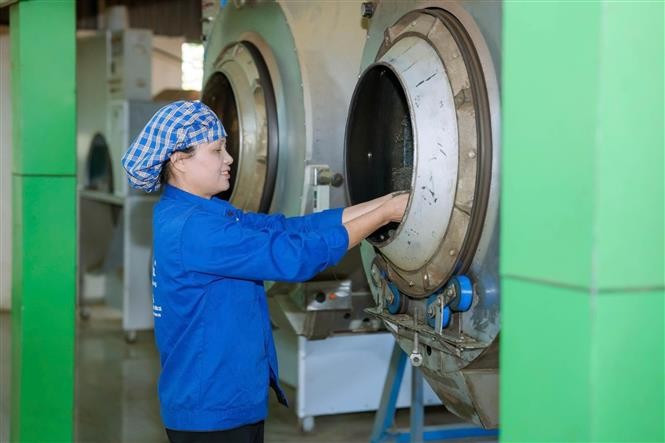 Мастерица Нгуен Тхи Хай в производственном цехе кооператива по производству чая Лабанг (Фото: ВИА)