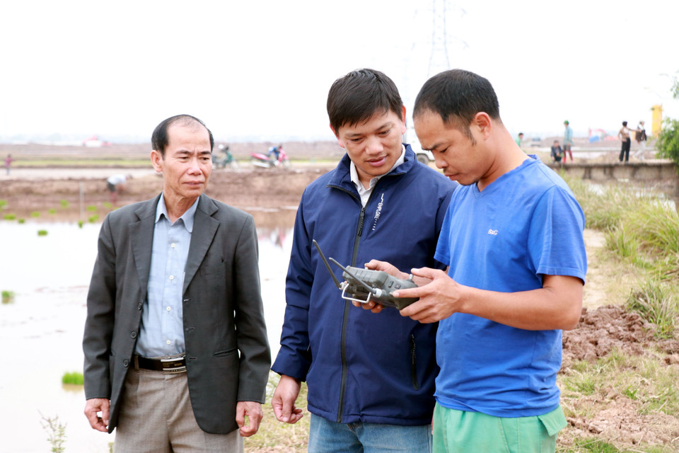 Лыонг Суан Чыонг (в центре) наблюдает за процессом посева риса с использованием управляемого оборудования (Фото: ВИА)
