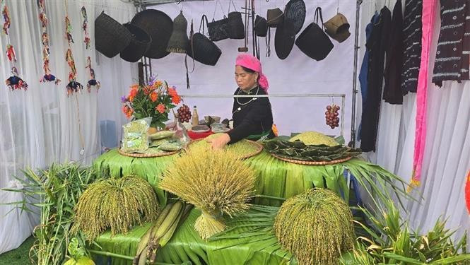 Торговые павильоны с продукцией из зелёного риса Хоптхань отражают своеобразие местной кулинарной культуры (Фото: ВИА)