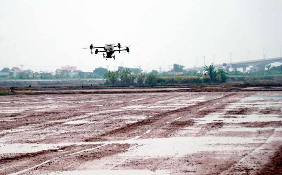 Посев риса с использованием БПЛА на сельскохозяйственных угодьях Молодёжного кооператива «Нам Дайзыонг» (община Нгиахынг, провинция Ниньбинь) (Фото: ВИА)
