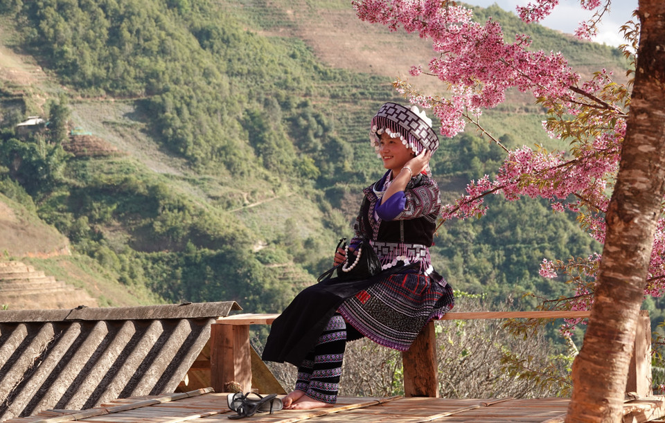 Му-канг-чай откроет Фестиваль кхена народа хмонг и Праздник цветов То-зай 2026 года вечером 3 января 2026 года с множеством ярких и самобытных мероприятий (Фото: ВИА)