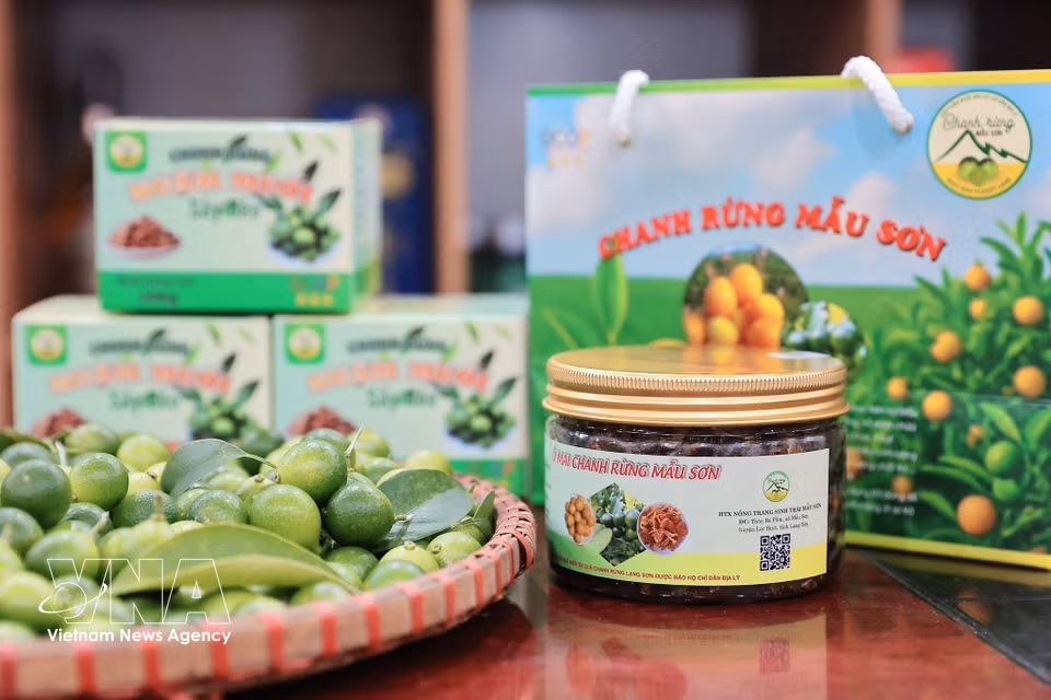 Продукт «Цукаты из дикого лимона Маушон» сельскохозяйственного экологического кооператива «Маушон» удостоен сертификата OCOP (Одна община — один продукт) «3 звезды» (Фото: ВИА)