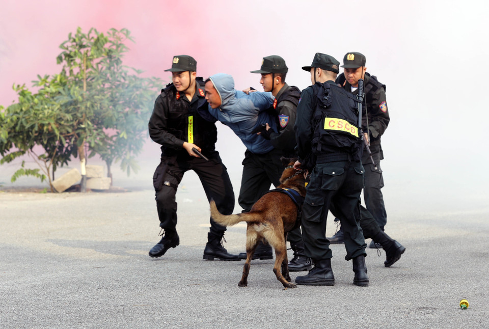 В ходе смоделированной ситуации нападения спецподразделения отрабатывают подавление преступников, забаррикадировавшихся в доме, и оперативное задержание особо опасных лиц (Фото: ВИА)