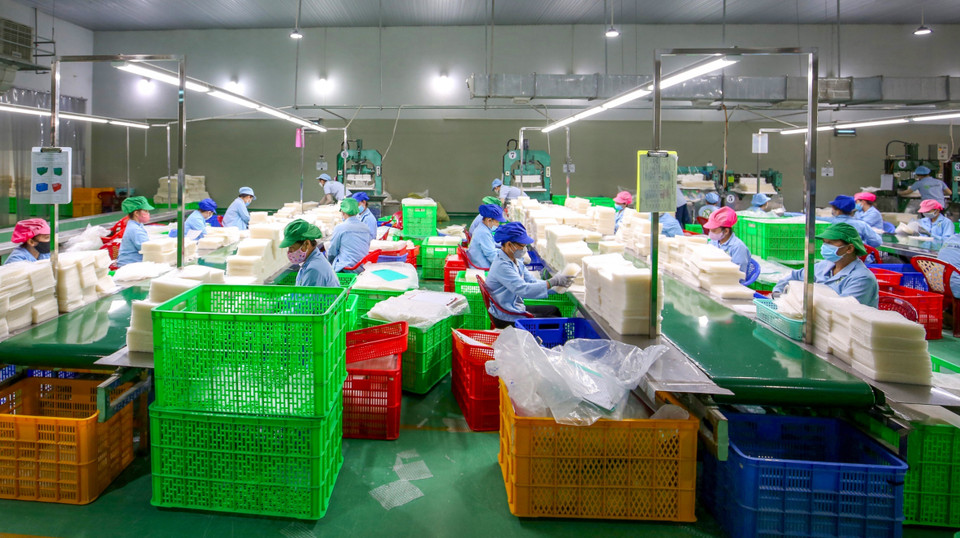 Рисовая бумага компании Tan Nhien Co., Ltd. получила сертификат Halal JAKIM, строго соблюдая исламские нормы шариата в отношении сырья, производственного процесса и контроля качества (Фото: ВИА)