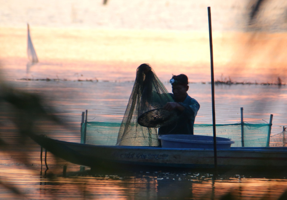 Ловля рыбы с помощью «донов» на затопленных полях коммуны Виньвьен, город Кантхо (Фото: ВИА)