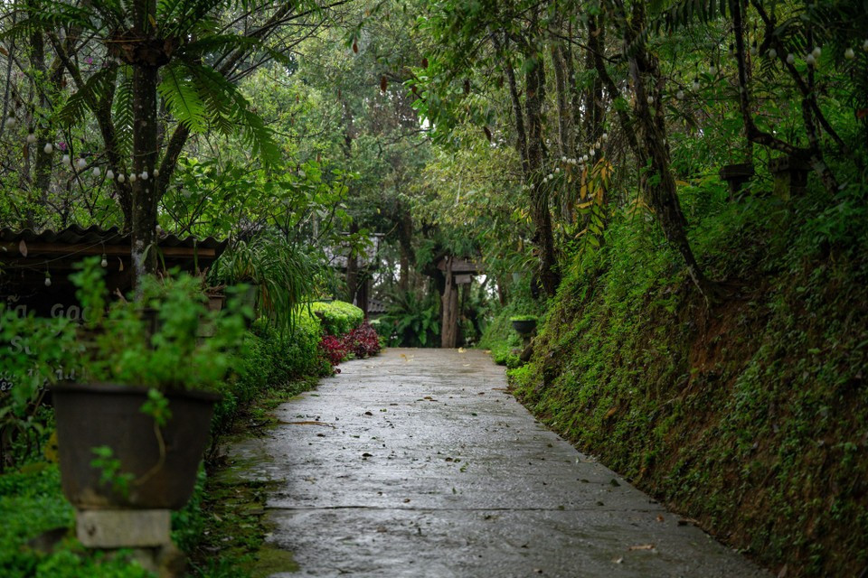 Син-суой-хо также был признан одним из 5 лучших направлений общественного туризма на премии Vietnam Tourism Awards 2025 (Фото: Вьетнам+)