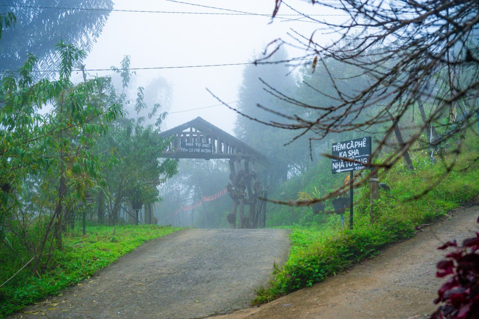 Здесь туристы могут пережить множество ярких впечатлений: охота за облаками на горных вершинах, изучение жизни и культуры народности Хмонг (Фото: Вьетнам+)