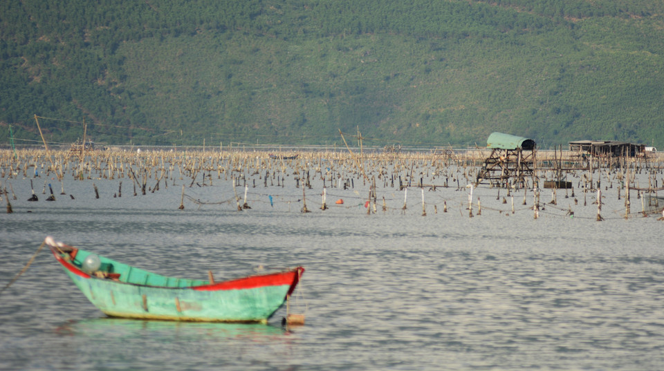 Устричные хозяйства жителей Хюэ среди просторов лагуны Лапан (Фото: ВИА)