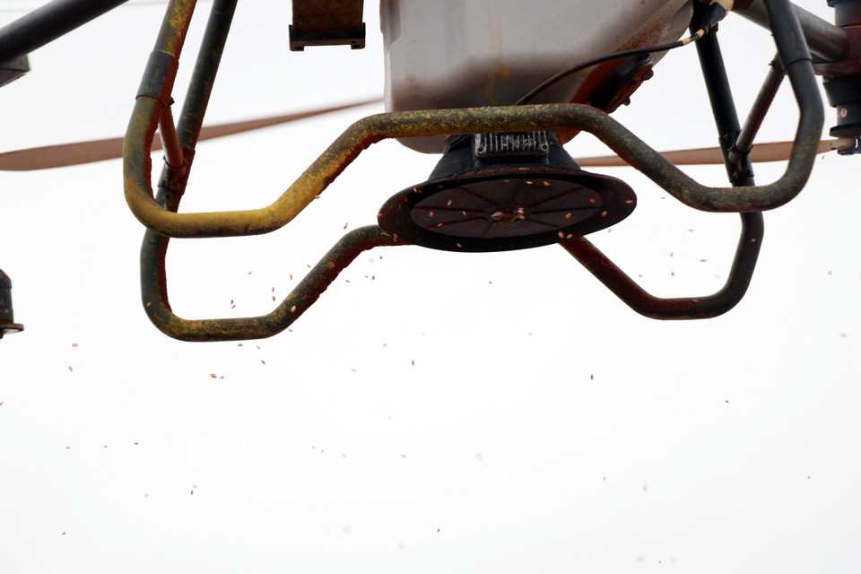 Молодёжный кооператив «Нам Дайзыонг» (община Нгиахынг, провинция Ниньбинь) применяет БПЛА для посева риса (Фото: ВИА)