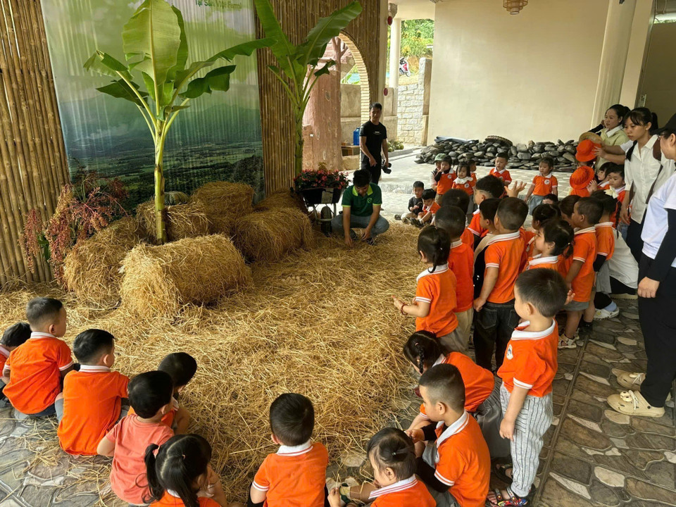 Школьники посещают и изучают деятельность сельскохозяйственных ферм, развивающих туризм (Фото: ВИА)