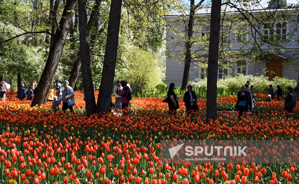 Посетители проходят мимо цветущих тюльпанов во время Фестиваля тюльпанов на острове Елагин в Санкт-Петербурге, Россия. (Фото: Спутник)