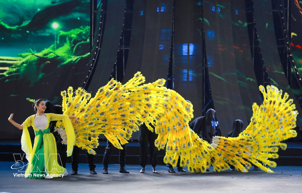 Выступление в рамках программы (Фото: ВИА)