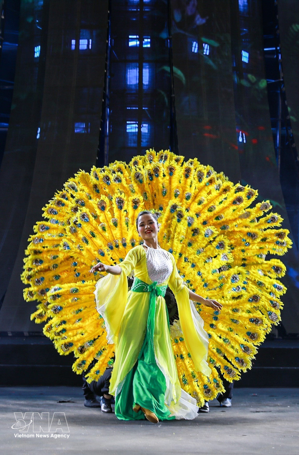 Выступление в рамках программы (Фото: ВИА)