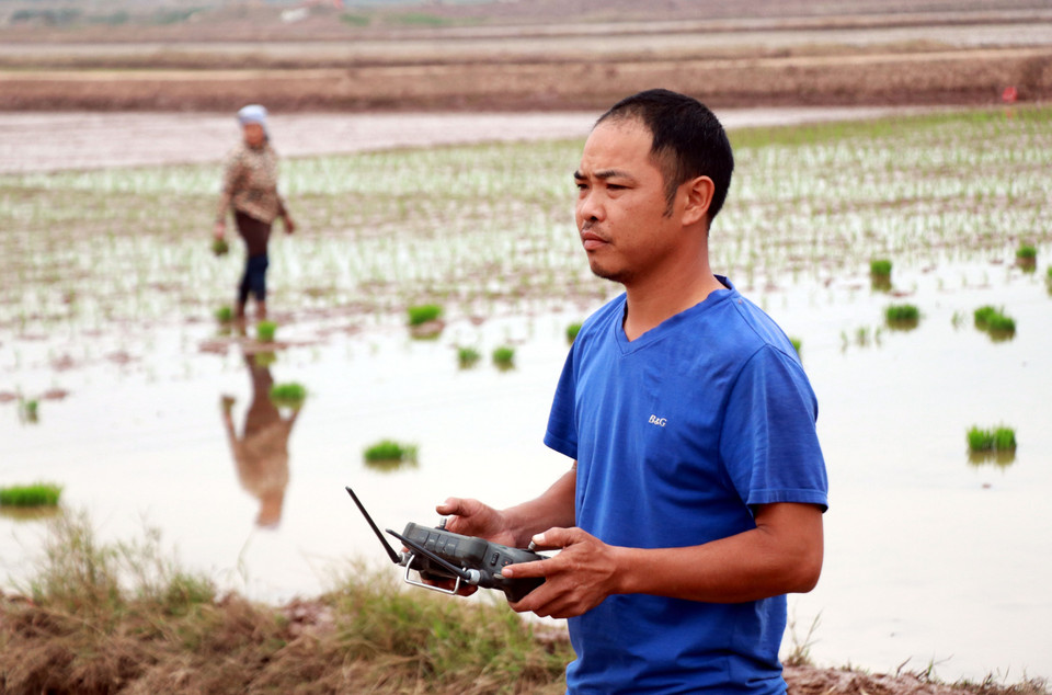 Член Молодёжного кооператива «Нам Дайзыонг» управляет БПЛА для посева риса (Фото: ВИА)