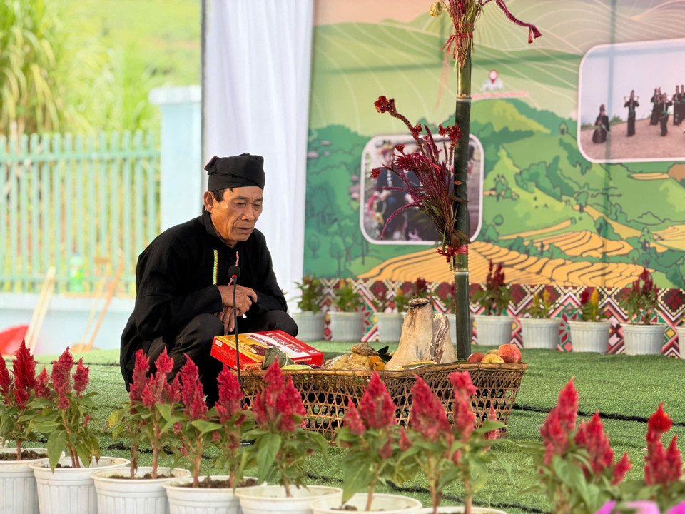 Цветок целозии является символом в традиционный Новый год народа Конг (Фото: ВИА)