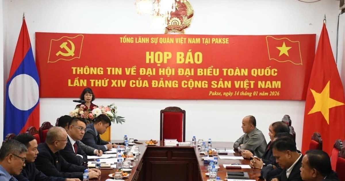 Общий вид пресс-конференции. (Фото: ВИА)