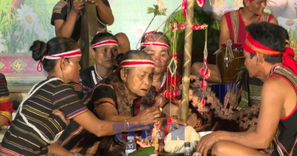 Народность Стьенг отмечает праздник нового риса