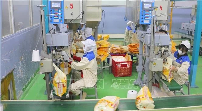 Упаковка экспортного риса на заводе компании ООО с одним участником Тхаошон, входящей в акционерную группу Локчой. (Фото: ВИА)