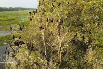 Национальный парк Чамчим активизирует усилия по восстановлению водно-болотных угодий. (Фото: ВИА) 