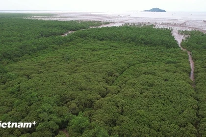 Иллюстративное изображение. (Фото: ВИА)