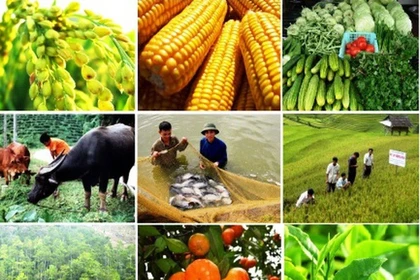 Конфликт на Ближнем Востоке проверяет устойчивость сельскохозяйственного сектора Вьетнама