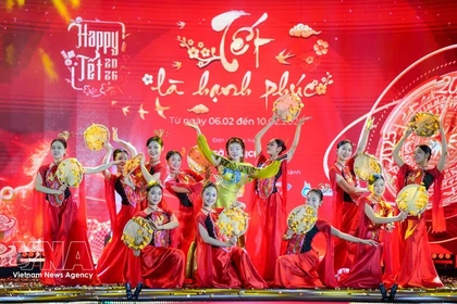 Выступление на церемонии открытия программы Happy Tet 2026 6 февраля. (Фото: ВИА) 