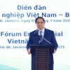 Премьер-министр Фам Минь Тьинь принял участие в деловом форуме Вьетнам – Бразилия (Фото: ВИА)