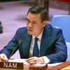 Посол Данг Хоанг Зянг, глава Постоянного представительства Вьетнама при ООН (Фото: ВИА)