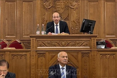 Посол Вьетнама в Венгрии Буй Ле Тхай (на заднем плане) выступает на шестом Азиатско-Европейском политическом форуме в Венгрии. (Фото: ВИА) 