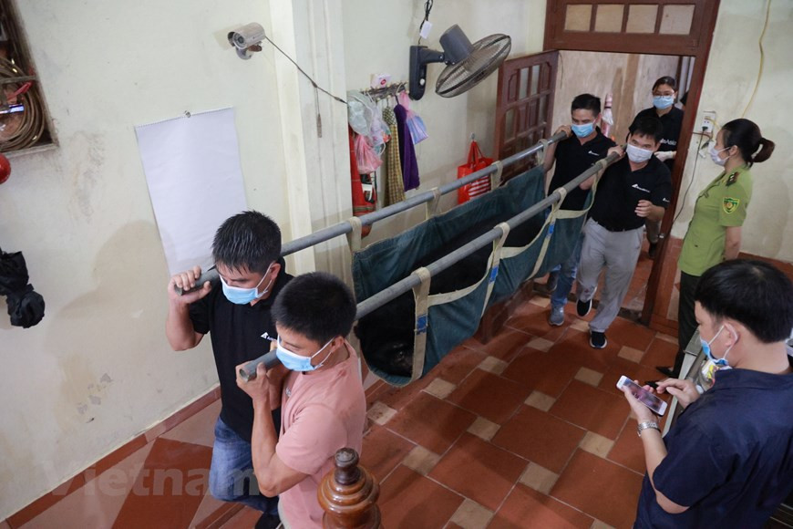 Компания Animals Asia подписала меморандум о взаимопонимании о сотрудничестве с Управлением лесного хозяйства Вьетнама, чтобы закрыть все оставшиеся фермы по выращиванию медвежьей желчи по всей стране и отправить 800 медведей в спасательные учреждения в период с 2017 по 2022 год. Управление окружающей среды Вьетнама при Министерстве природных ресурсов и окружающей среды недавно объявило, что 21 организация и частные лица, внесшие выдающийся вклад в сохранение дикой природы в период 2010-2020 гг., будут награждены. Согласно шестому национальному докладу о биологическом разнообразии, во Вьетнаме в настоящее время обитают 51.400 видов фауны и флоры, в том числе около 7.500 штаммов микроорганизмов, 20.000 видов флоры, 10.900 видов наземных животных, 2.000 видов беспозвоночных и пресноводных рыб (Фото: Вьетнам+)