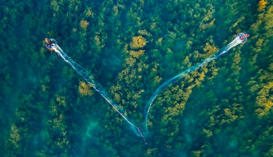 Две лодки-корзины используют V-образную сеть для ловли кальмаров. (Фото: vnexpress.net)