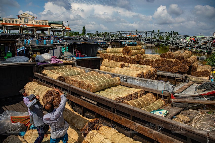 Ротанг, добываемый на месте или привозимый по воде из соседних провинций, является основным материалом для изготовления циновок в деревне традиционных ремесел. (Фото: ВИА)