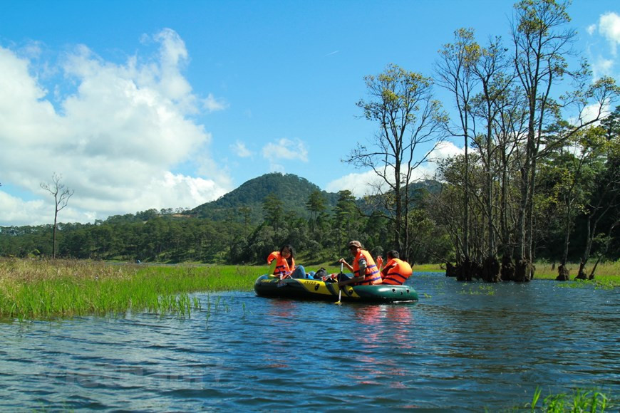 Отправляясь на молочную ферму Далат в коммуне Туча уезда Донзыонг, в 30 км от центра Далата, вы попадаете не только на молочную ферму, но и в туристическое направление, связанное с сельским хозяйством. Красивое цветочное поле находится на территории молочного завода Далат. От входа вы увидите панорамный вид на тысячи красивых подсолнухов вдалеке. Прямо рядом с подсолнухами находится обширное поле желтовато-коричневой травы для дойных коров. Вы будете впечатлены пейзажами этой мирной сельской местности. Цветочное поле лилий. «Хоали Далат», расположенный недалеко от Долины Любви, является цветочным садом Далата, который открыт для посетителей, чтобы посмотреть и купить цветы. Лилии в саду выращивают исключительно в теплицах. Этому цветку благоприятствует сладкий аромат наряду с роскошной красотой. (Фото: Vietnam+) 